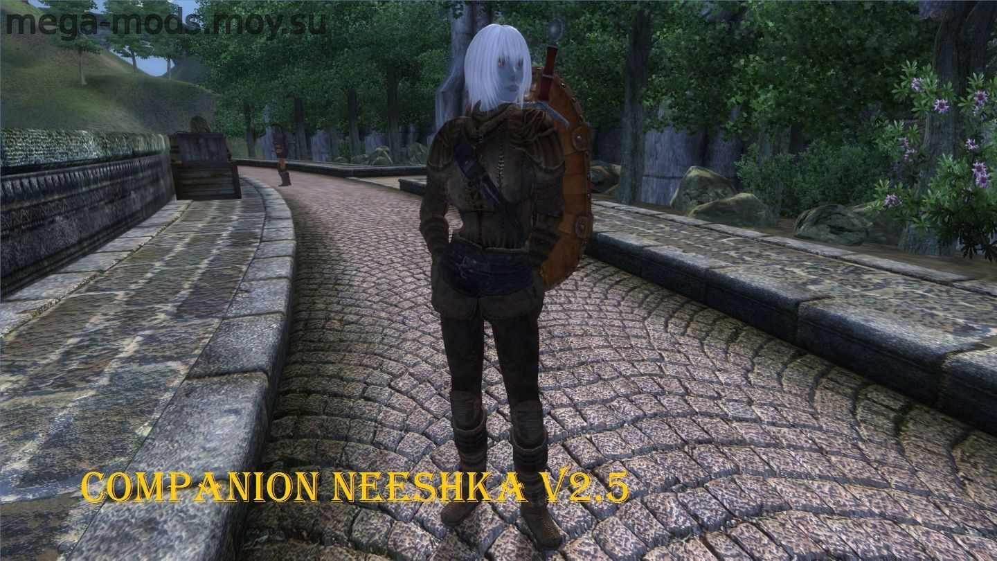 Companion Neeshka 2.5