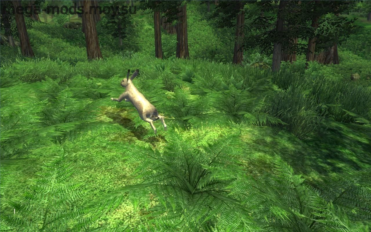 More Animals v1.2