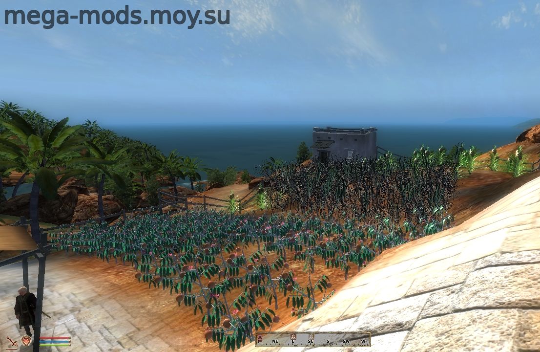 Мод «Elsweyr Plantations and co» 1.1.1 Для Oblivion