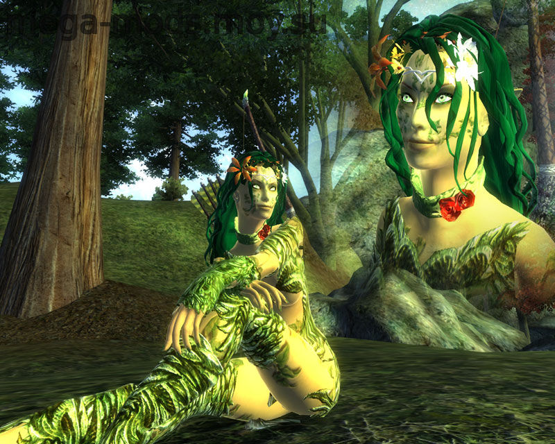 A CM Partner Dryad Willa 1.0